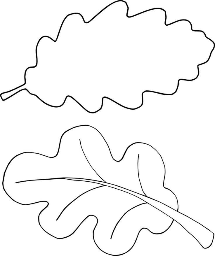 Шаблон листочка для вырезания из бумаги: дубовый, ромашка, кленовый. трафареты для аппликаций с детьми