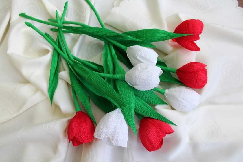 Тюльпаны из гофрированной бумаги: топ - 100 идей с фото