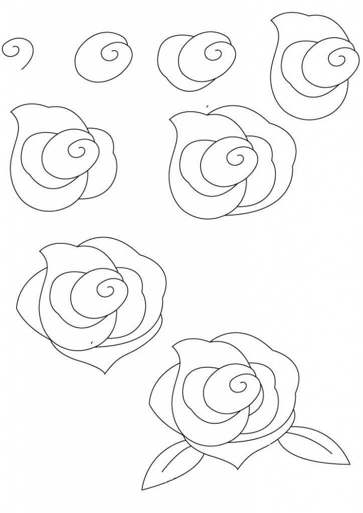Как нарисовать розу поэтапно? как нарисовать розу карандашом поэтапно