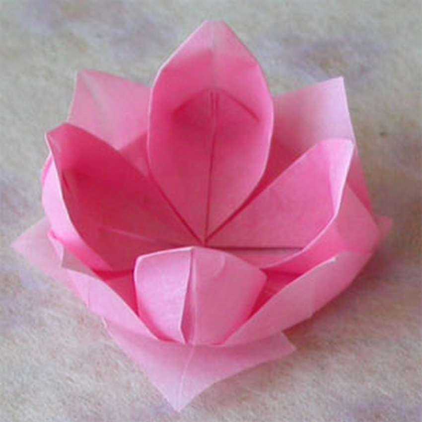 Оригами лотос из бумаги: схема сборки и пошаговая инструкция