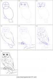 Как нарисовать сову карандашом - поэтапные мастер-классы, фото примеры и идеи