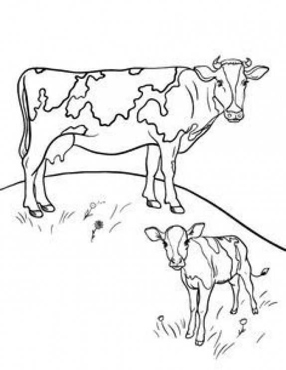 Рисунки символа 2021 года быка: как нарисовать, поэтапно, для срисовки