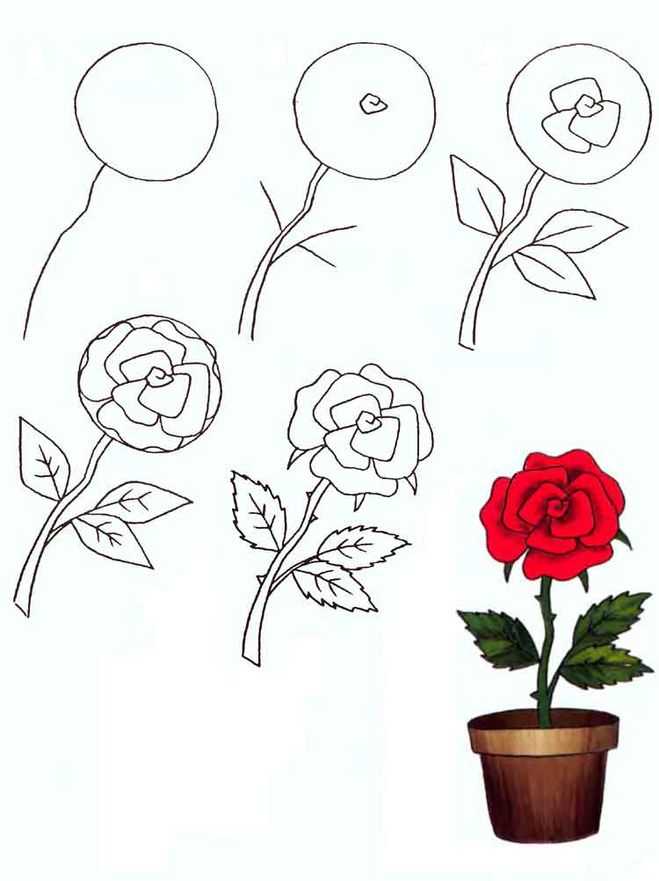 Как нарисовать розу: легкое поэтапное рисование букета карандашом для начинающих и нарисованные цветные шаблоны для детей