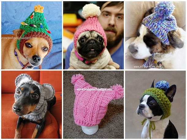 Шапки для собак: самые модные и удобные фасоны и модели (+ фото и видео)