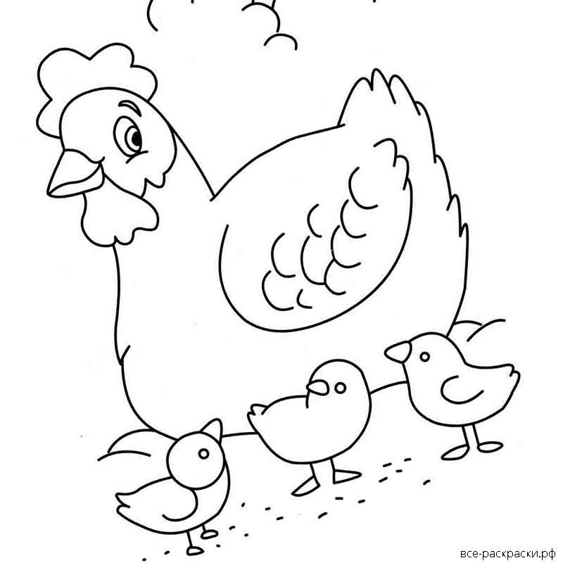 Как нарисовать курицу или курочку поэтапно для детей — пошаговые уроки рисования
