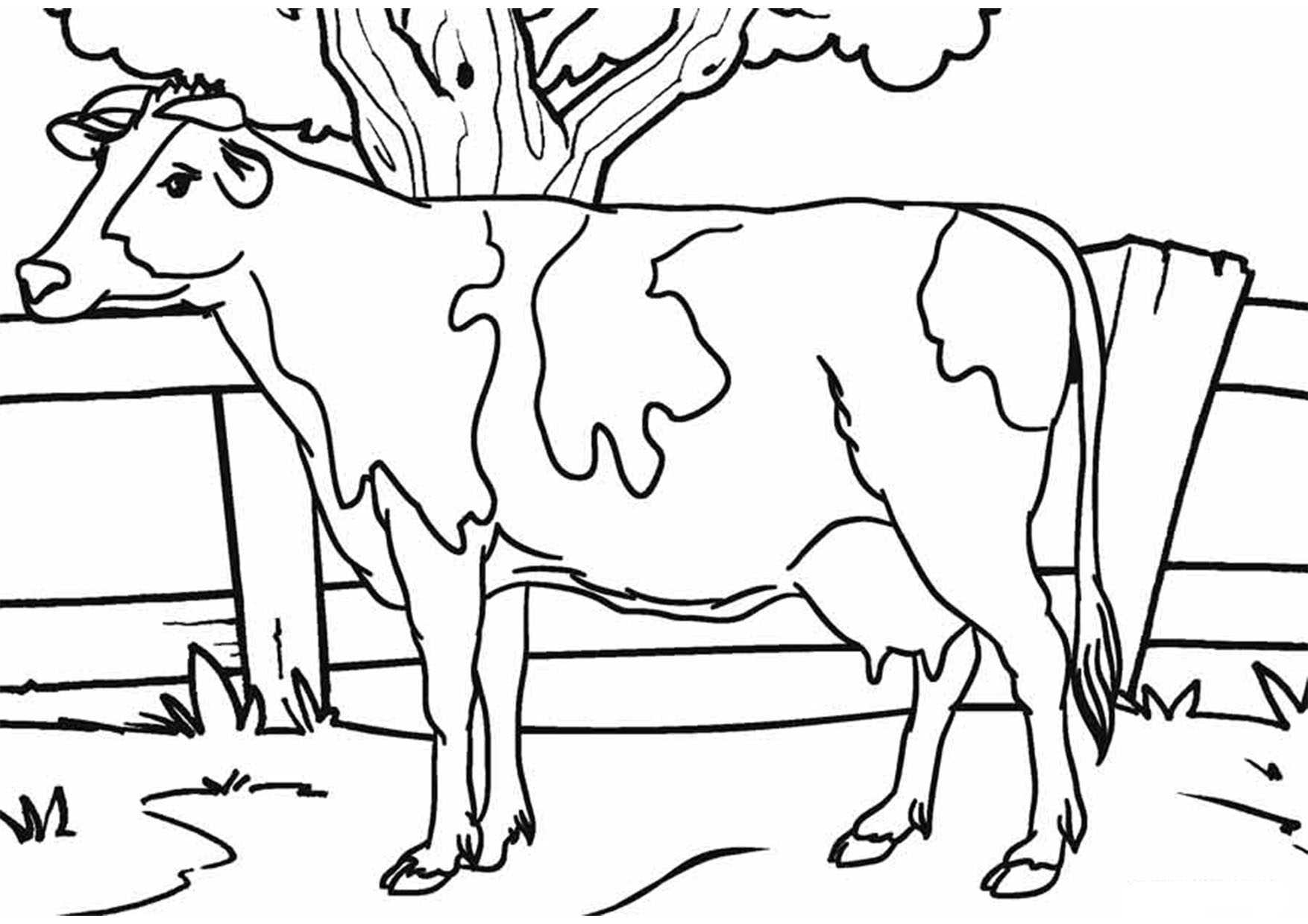 Как нарисовать корову карандашом поэтапно для начинающих