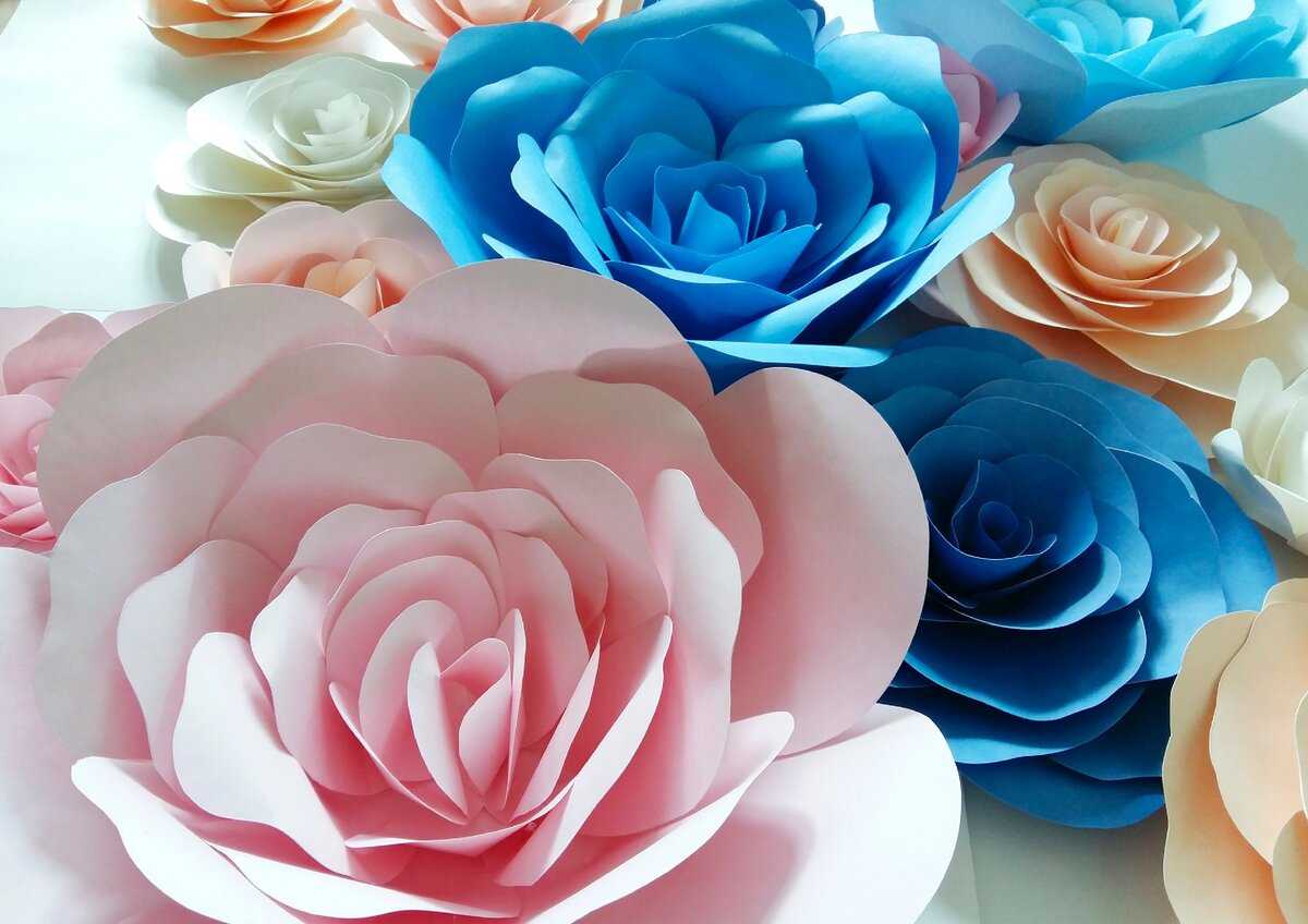 Как сделать цветок из бумаги: схемы и шаблоны для изготовления бумажных цветов. мастер-класс по складыванию бумажных тюльпанов, роз