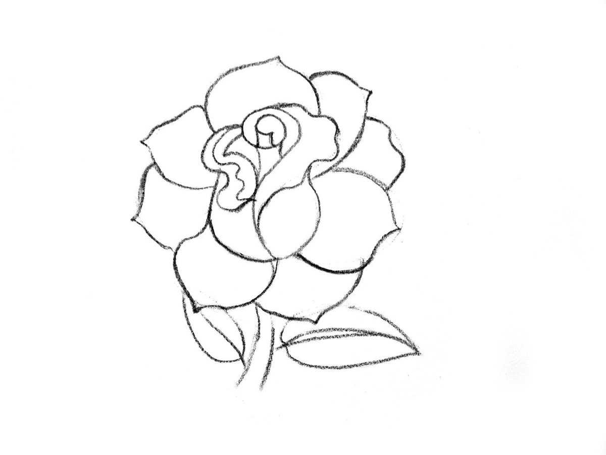 Как нарисовать розу поэтапно карандашом