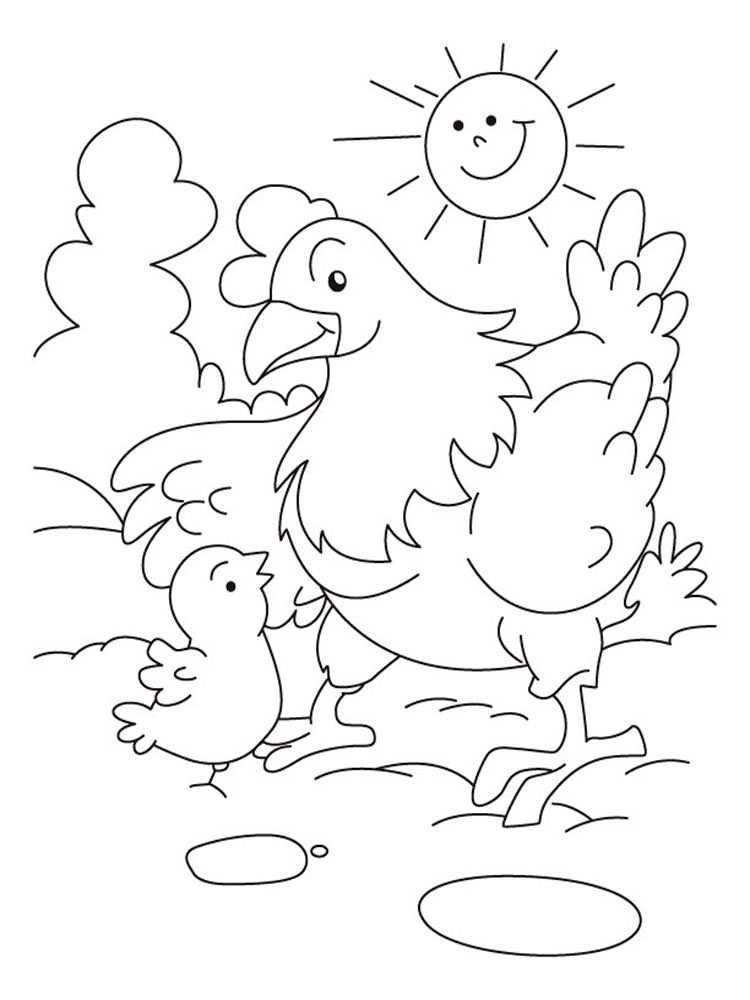 Как нарисовать курицу или курочку поэтапно для детей