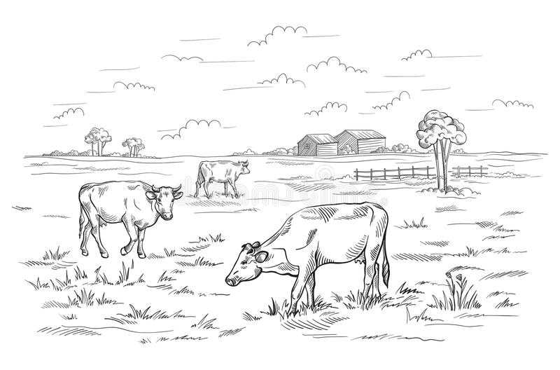 Как легко и красиво нарисовать корову поэтапно карандашом для начинающих