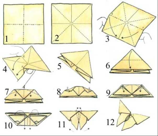 Оригами бабочка - мастер-класс изготовления для начинающих и схемы для профессионалов