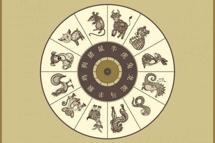 Восточный календарь: как знак животного влияет на характер человека