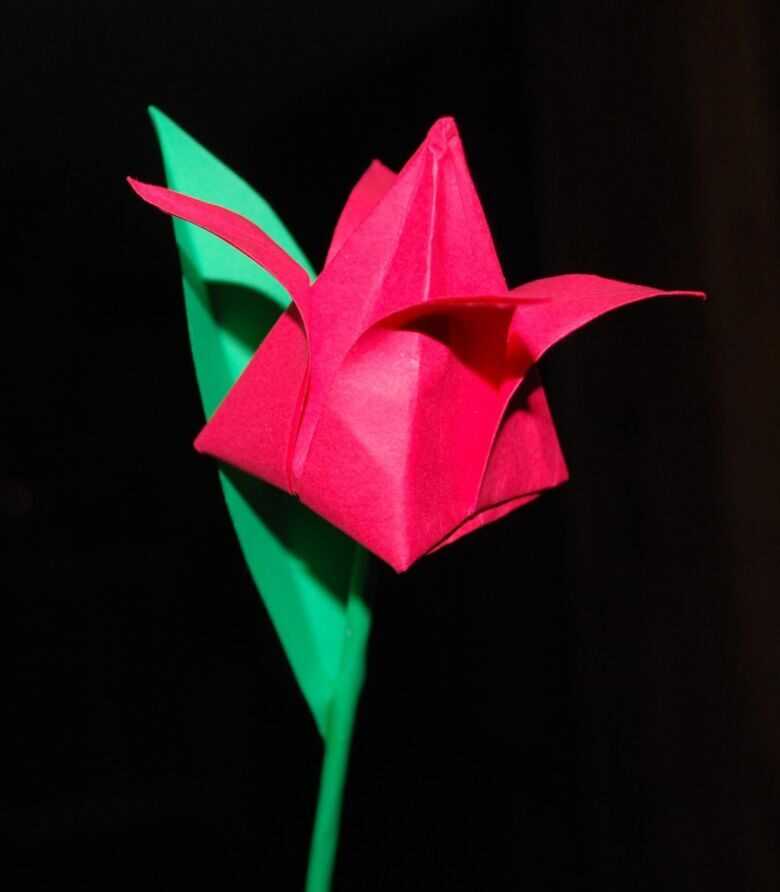 Модульное оригами «тюльпан». мастер-класс с пошаговым фото. воспитателям детских садов, школьным учителям и педагогам