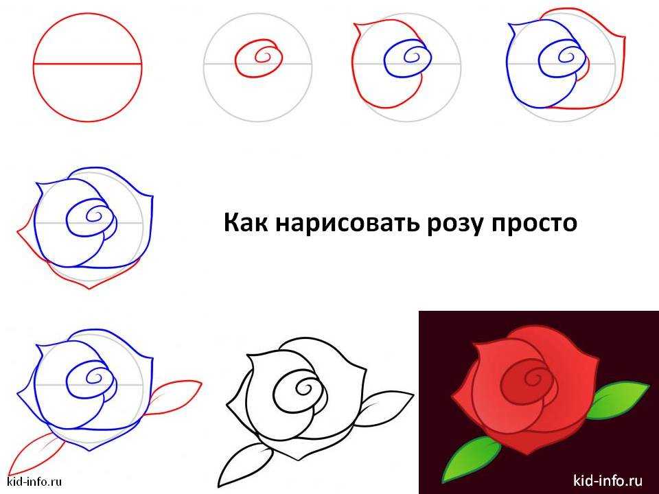 Как нарисовать букет роз: поэтапный урок создания рисунка простым карандашом для начинающих и профи