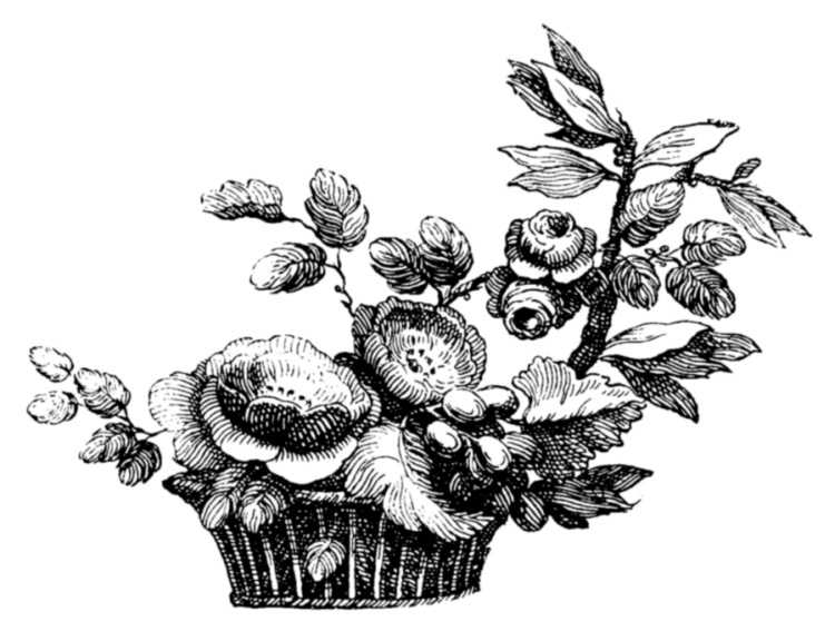 Картинки для декупажа: кухня, цветы, винтаж и ретро, розы шебби, кошки, бабочки - сайт о рукоделии