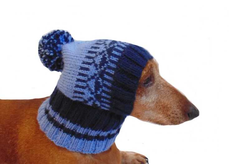 Самые простые способы связать шапку для собаки своими руками. вязание шапки для собак: лучшие модели со схемами, описанием и фото