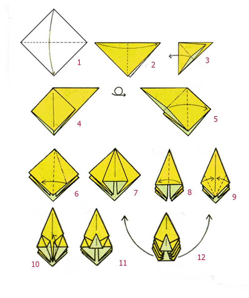 Оригами тюльпан: пошаговые инструкции и видео