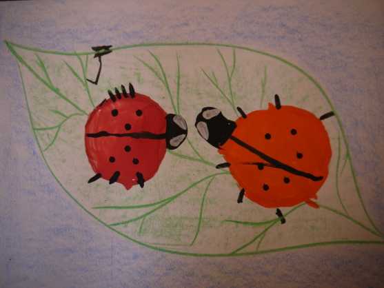 Рисунок божья коровка для детей карандашом, красками на ромашке, листе, камне, цветке поэтапно