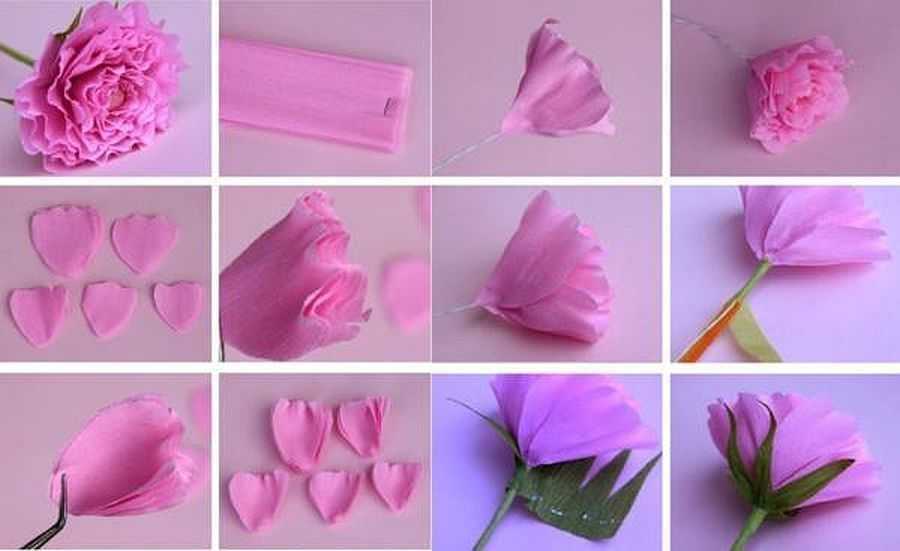 Цветы из бумаги (72 фото) - мастер-классы по изготовлению бумажных цветов