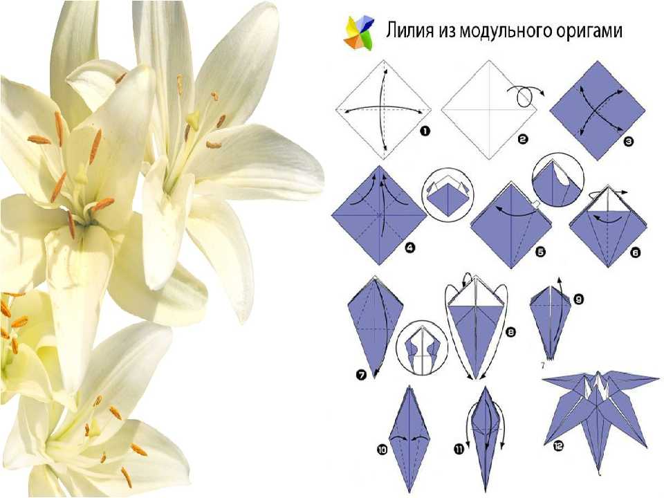 Модульное оригами цветов: как сделать своими руками примеры фото схемы