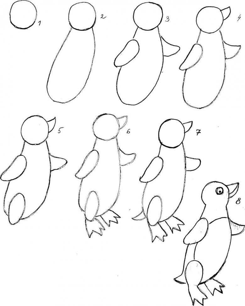 Рисуем пингвина карандашом поэтапно. как нарисовать пингвина поэтапно карандашом - полезные советы, мастер-классы, фото примеры и идеи