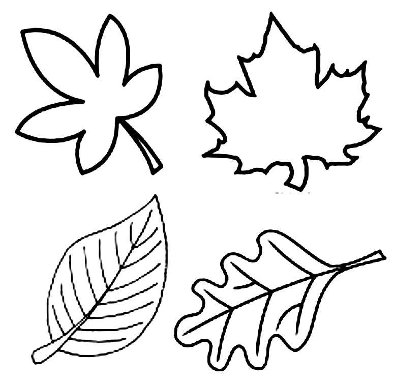 Как вырезать листья деревьев из бумаги – листья гармошкой из бумаги: 8 вариантов, шаблоны, мастер-класс — шелковый путь