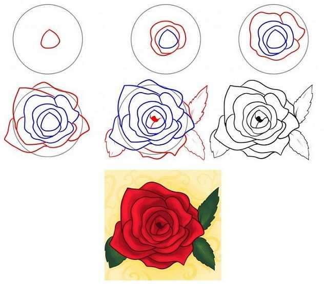 Цветы для срисовки карандашом: красивые и легкие