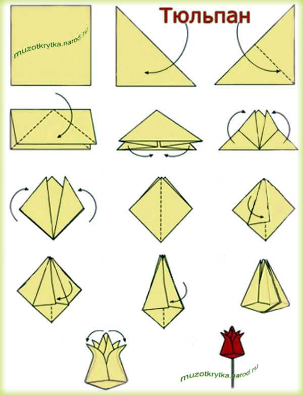 Модульное оригами «тюльпан». схема сборки. пошаговая инструкция с фото