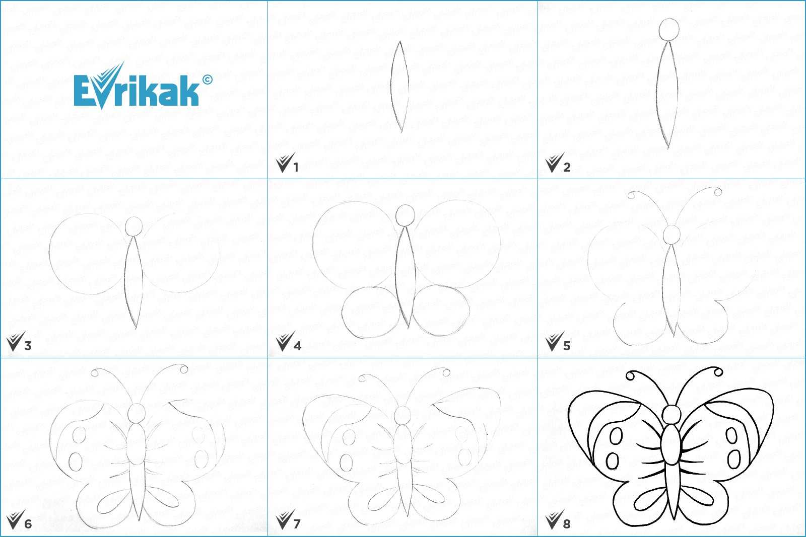 Бабочка рисунок поэтапно