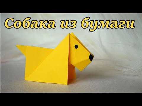 Оригами животные: пошаговые схемы для детей