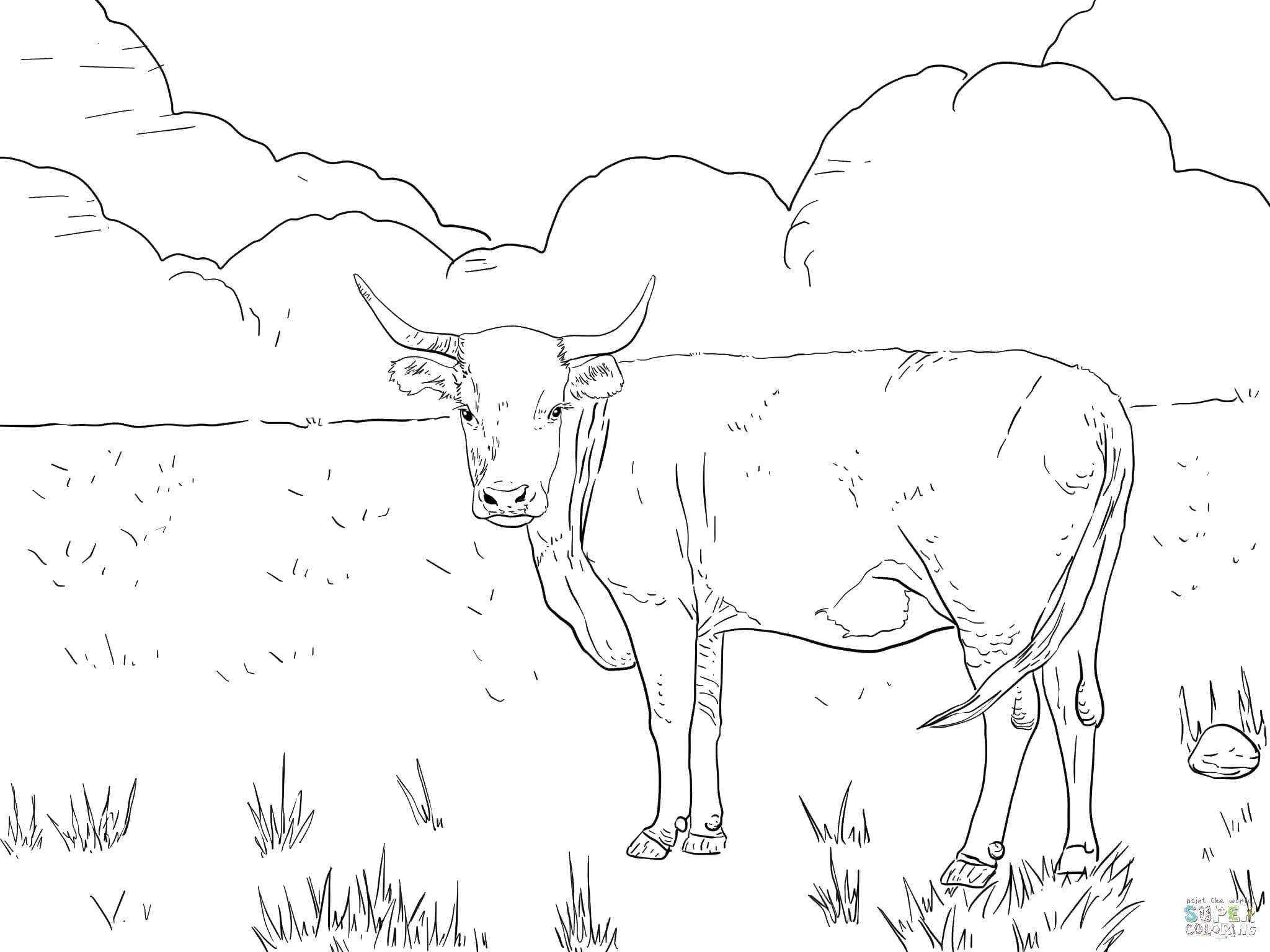 Как нарисовать корову  поэтапно 10 уроков