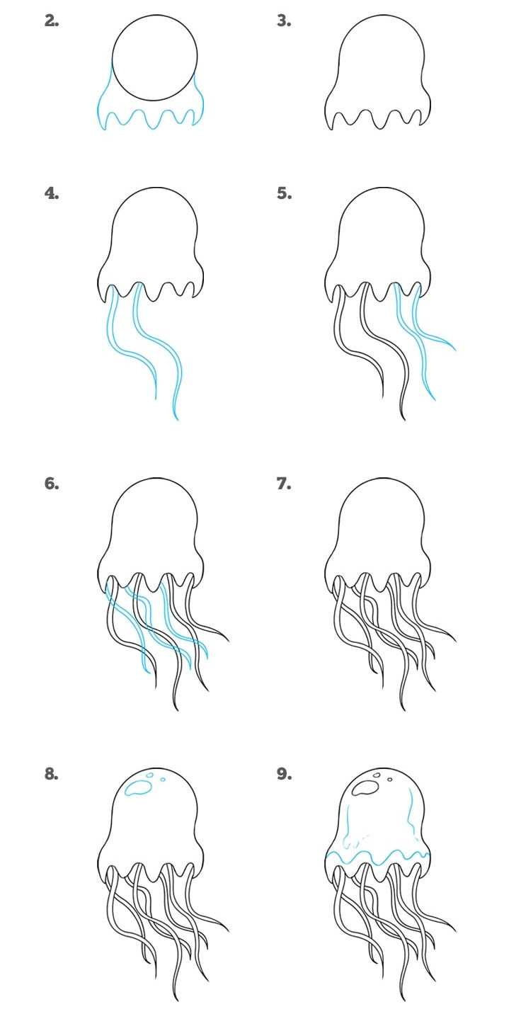 Как рисовать медузы