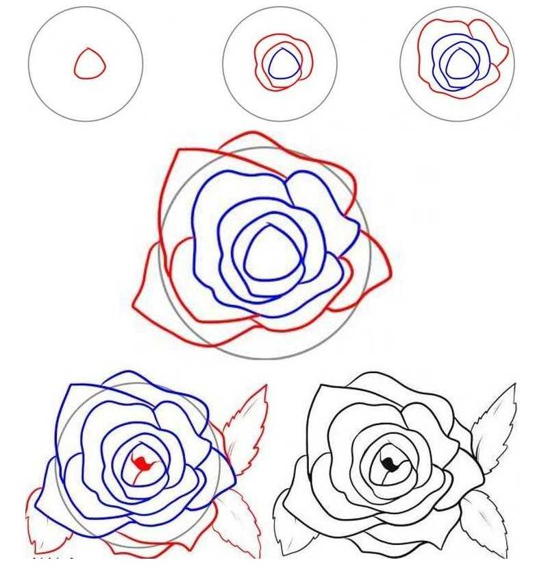 Как нарисовать розу 20 разными способами - лайфхакер