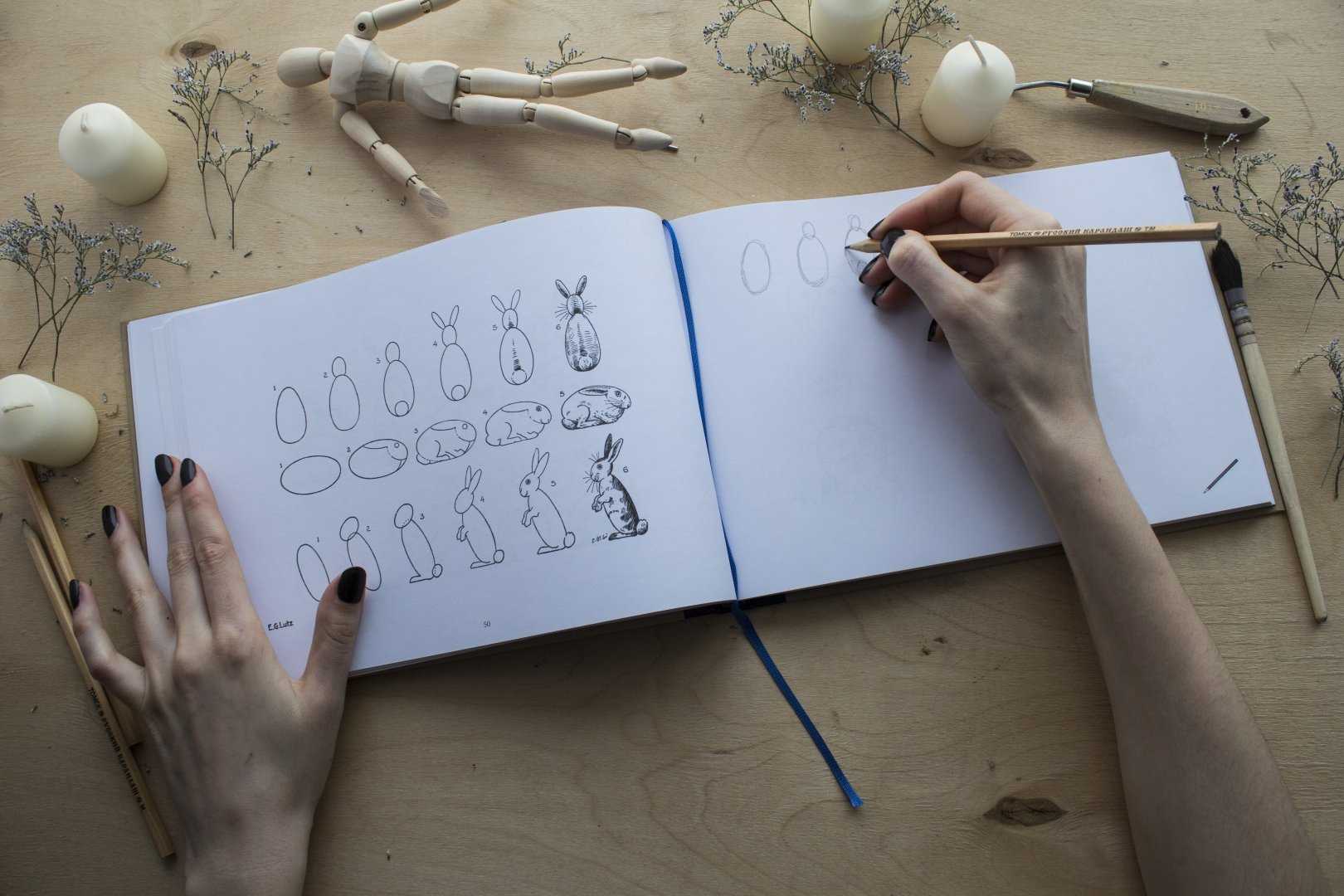 Красивые и легкие рисунки для срисовки карандашом поэтапно для начинающих. красивые и легкие рисунки по клеточкам для срисовки в тетради и личном дневнике для девочек и мальчиков