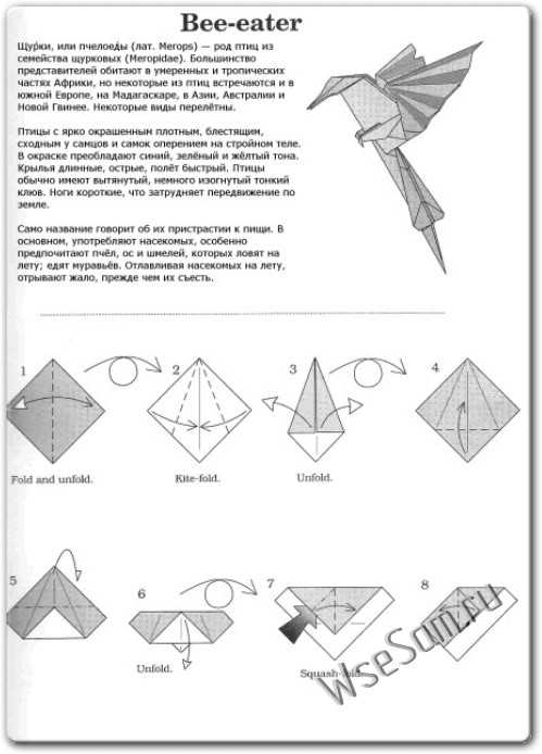 Попугай оригами: делаем простого и модульного попугайчиков из бумаги