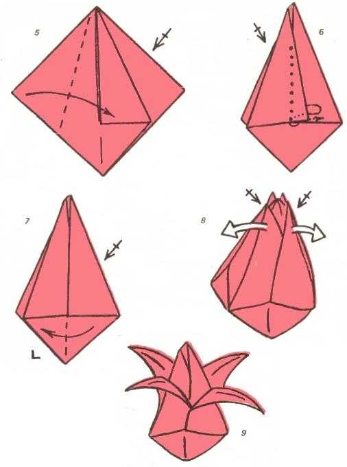 Оригами-тюльпан из бумаги - оригами из бумаги