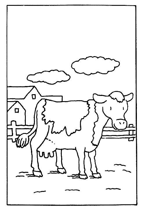 Как нарисовать корову карандашом. топ лучших вариантов для начинающих