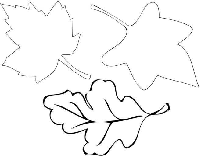 Шаблон осенних листиков – трафарет осенние листья - club-detstvo.ru - центр искусcтв и творчества марьина роща