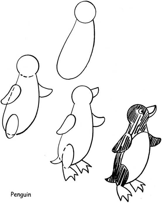Рисуем пингвина карандашом поэтапно