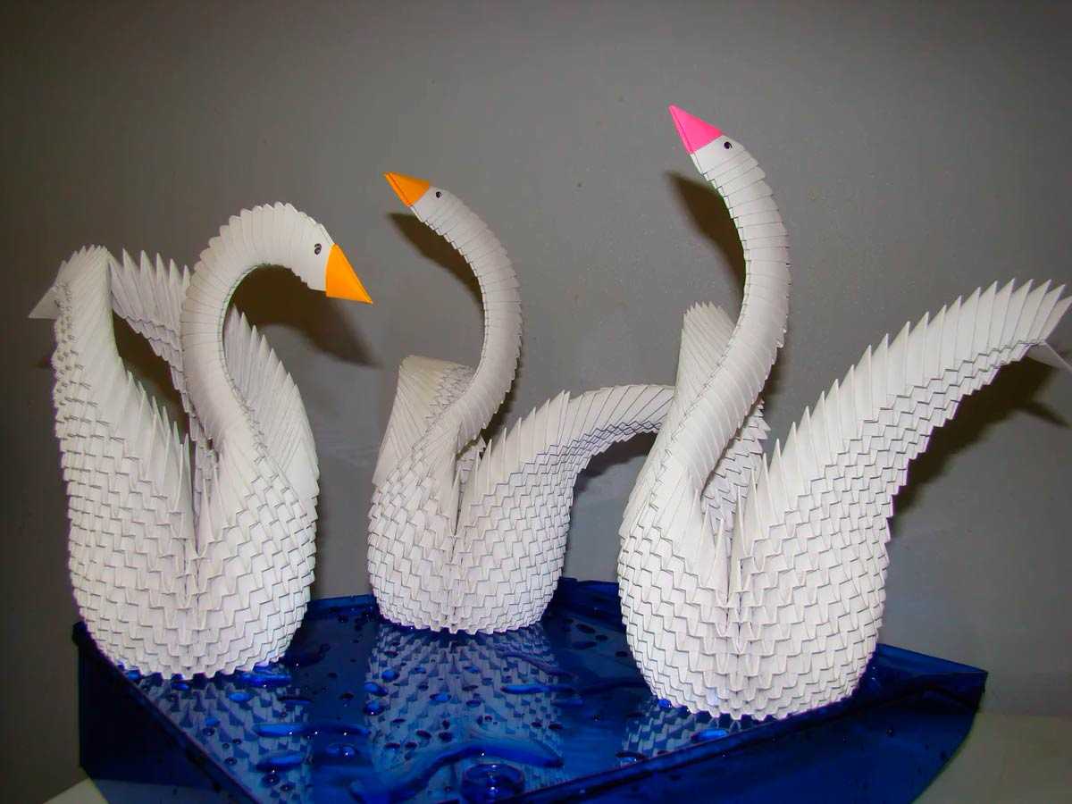 ᐉ лебедь из бумаги своими руками схема. делаем лебедя из бумаги в технике оригами. как сделать модульное оригами лебедь: готовим модуль