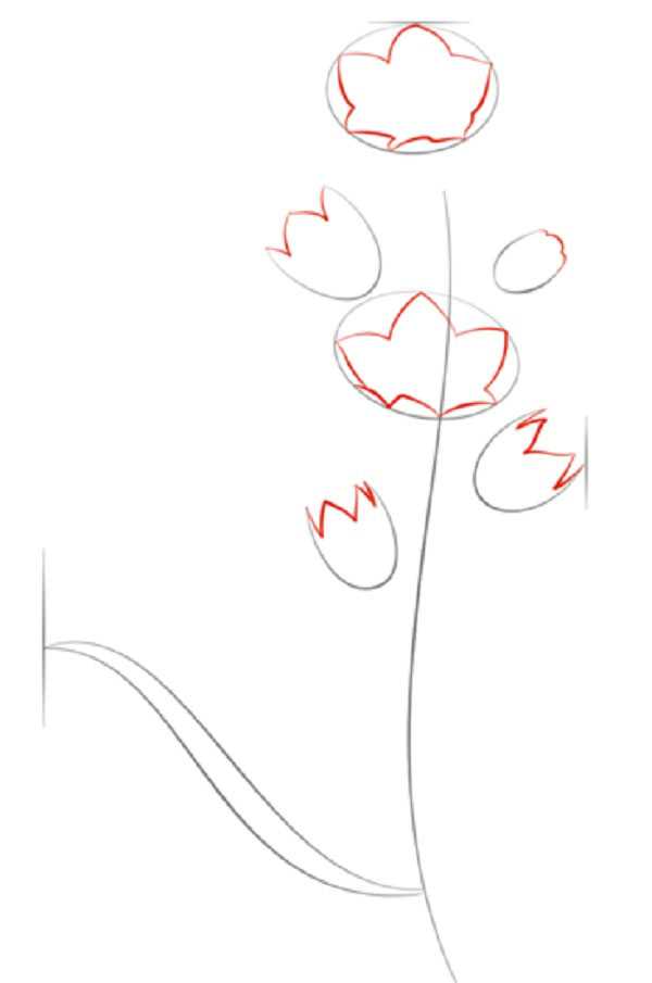 Как нарисовать розу – 3 способа для детей поэтапно