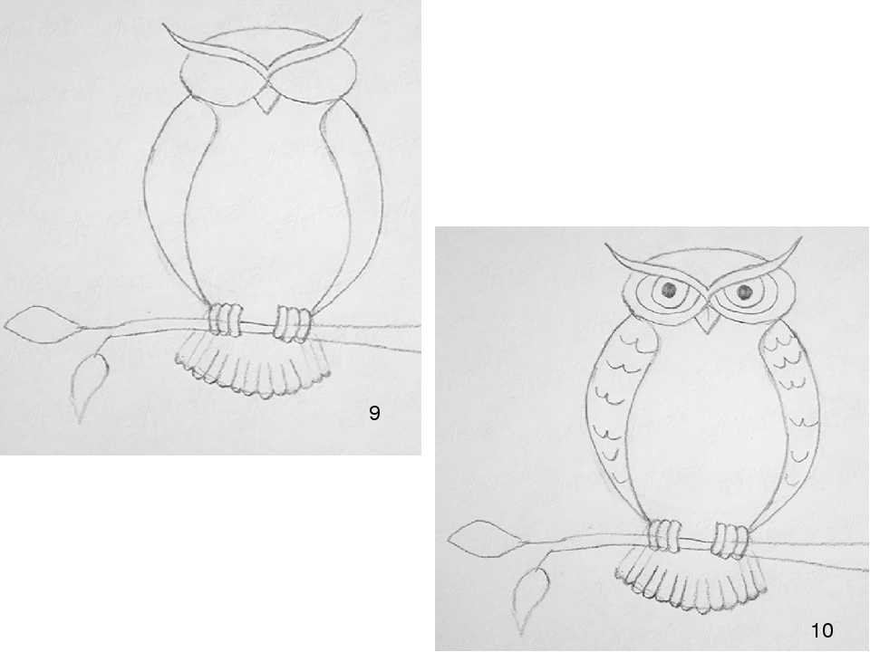 Как нарисовать сову поэтапно для детей