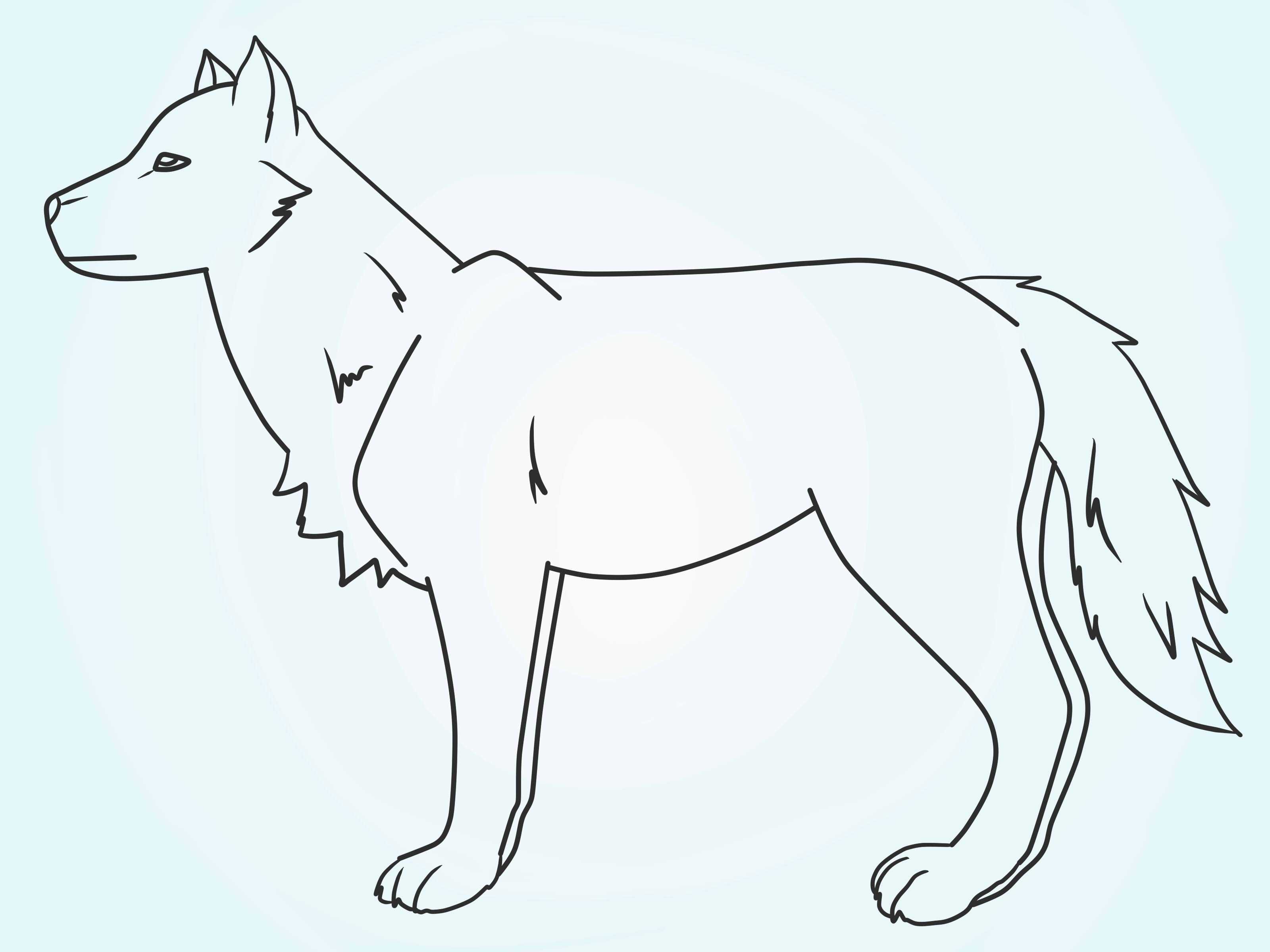 Рисованный волк цветной. как нарисовать волка поэтапно карандашом для начинающих из мультика «ну, погоди!» и воющего на луну?