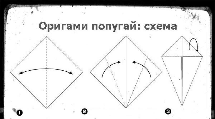Оригами попугай: как сделать из бумаги, схема сборки модульного оригами, фото и видео для начинающих и детей, пошаговая инструкция