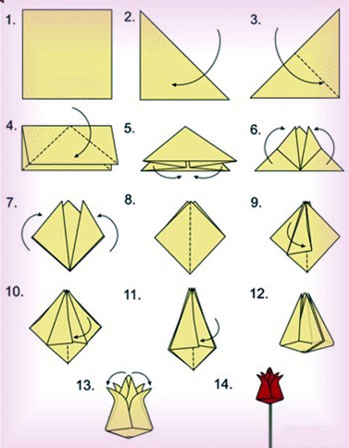 Оригами тюльпана по схеме и мастер-классу своими руками сделать оригами красивого цветка тюльпана - для детей и взрослых с инструкцией