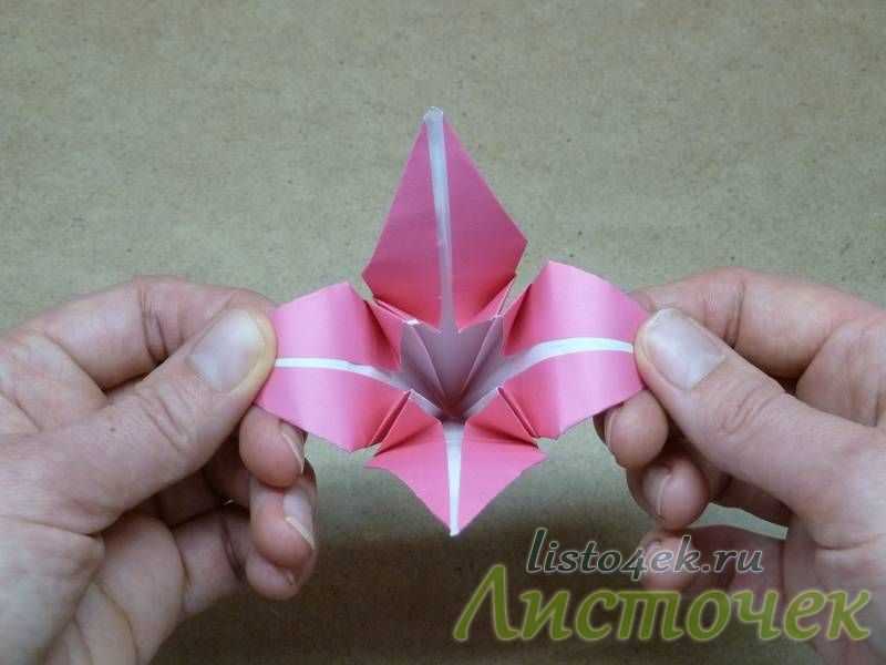 Как сделать лилию из бумаги своими руками: схемы, шаблон цветка для вырезания, пошаговое фото, мастер класс оригами, видео