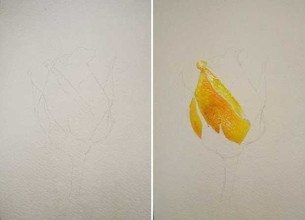 Рисунок морковки для короны. занятия с детьми: как нарисовать морковь поэтапно