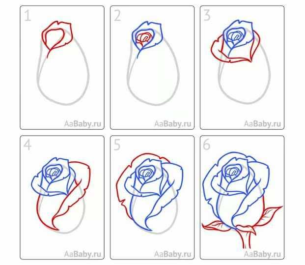 Как нарисовать розу карандашом поэтапно для детей